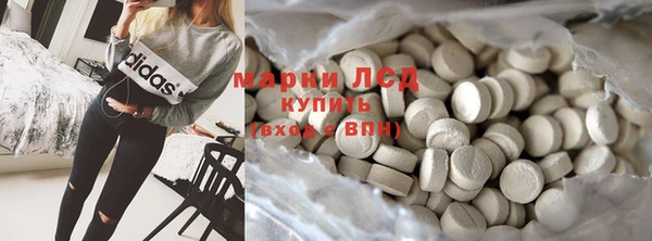 шишки Аркадак