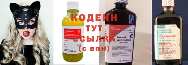 шишки Аркадак