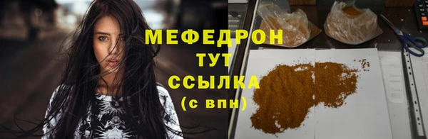 шишки Аркадак