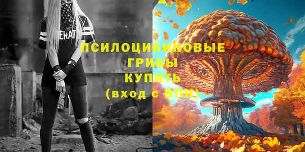 шишки Аркадак