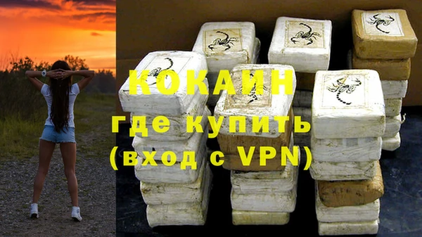 шишки Аркадак