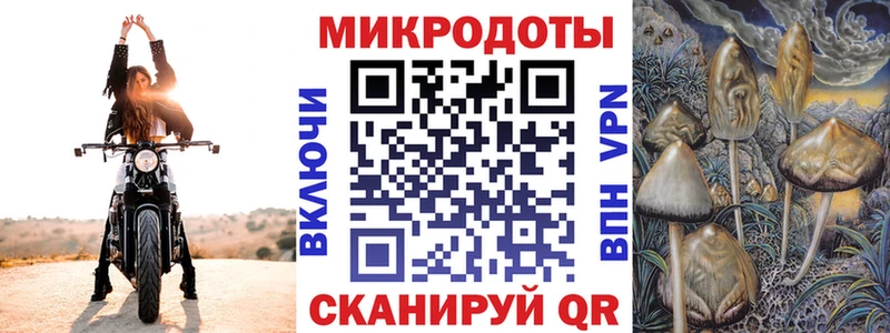 Галлюциногенные грибы Psilocybine cubensis  Светлогорск 